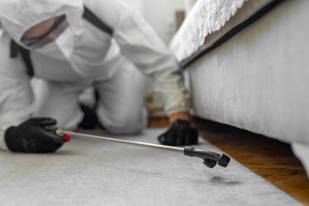 Professional Bed Bug Control technician working in Menahga, MN