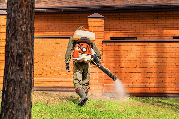 Trusted Termite Control service in Menahga, MN - Nex Pest Control
